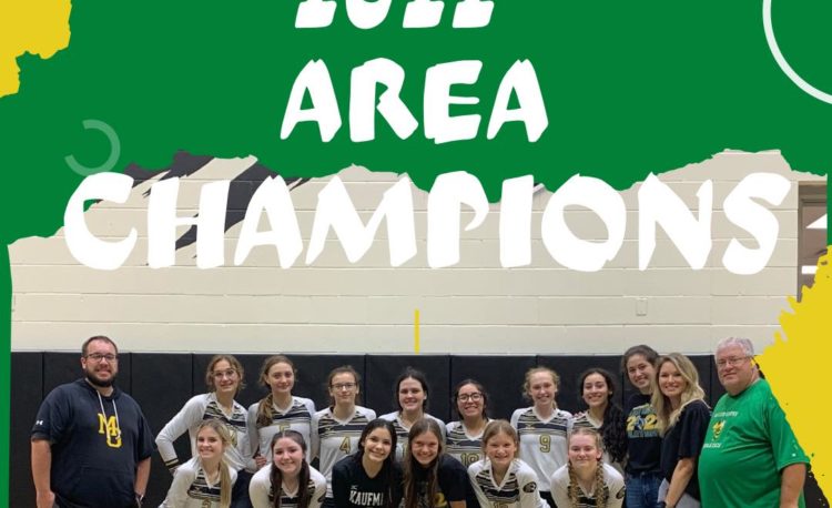 Volleyball area champs